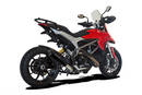 HPCorse - EvoXtreme 310mm Exhaust for Ducati Hyperstrada 821