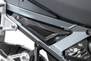 Ilmberger - Rear Triangle Cover for Rear Frame for R 1300 GS Adventure