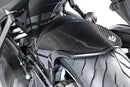 Ilmberger - Fender for BMW R 1300 R/RS