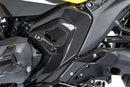 Ilmberger - Frame Cover for BMW R 1300 R / RS