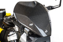 Ilmberger - Windscreen with Mount for BMW R 1300 R
