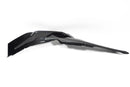 Ilmberger - Side Cover for Lower Tank for S 1000 XR / for M 1000 XR