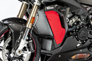 Ilmberger - Radiator Cover (Model with Painted Side Panel) for S 1000 XR