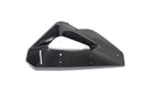 Ilmberger - Cover on Radiator Fairing + Winglet Mount for M 1000 XR