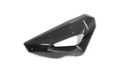 Ilmberger - Cover on Radiator Fairing + Winglet Mount for M 1000 XR