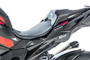 Ilmberger - Rear Fairing for M 1000 XR