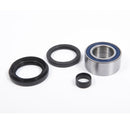 All Balls Racing - Wheel Bearing & Seal Kit (25-1004)