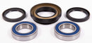 All Balls Racing - Wheel Bearing & Seal Kit (25-1029)