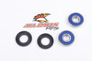 All Balls Racing - Wheel Bearing & Seal Kit (25-1317)