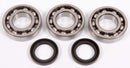 All Balls Racing - Crankshaft Bearing and Seal Kit (24-1077)