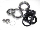 All Balls Racing - Differential Bearing & Seal Kit (25-2001)