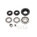 All Balls Racing - Differential Bearing & Seal Kit (25-2004)