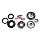 All Balls Racing - Differential Bearing & Seal Kit (25-2021)