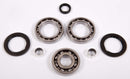 All Balls Racing - Differential Bearing & Seal Kit (25-2056)