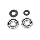 All Balls Racing - Crankshaft Bearing and Seal Kit (24-1029)