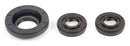 All Balls Racing - Differential Seal Kit (25-2004-5)