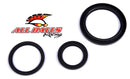 All Balls Racing - Differential Seal Kit (25-2030-5)