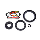All Balls Racing - Differential Seal Kit (25-2066-5)