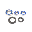All Balls Racing - Wheel Bearing & Seal Kit (25-1393)