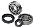 All Balls Racing - Crankshaft Bearing and Seal Kit (24-1061)