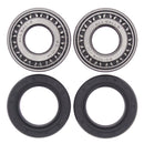 All Balls Racing - Wheel Bearing & Seal Kit (25-1002)