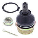 All Balls Racing - Ball Joint (42-1017)