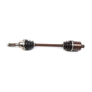 All Balls Racing - 6 Ball Heavy Duty Axle (AB6-PO-8-343)
