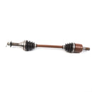 All Balls Racing - 6 Ball Heavy Duty Axle (AB6-SK-8-202)