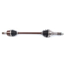 All Balls Racing - 6 Ball Heavy Duty Axle (AB6-YA-8-121)