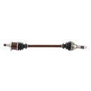 All Balls Racing - 6 Ball Heavy Duty Axle (AB6-CA-8-119)