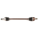 All Balls Racing - 6 Ball Heavy Duty Axle (AB6-AC-8-302)