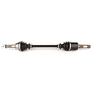 All Balls Racing - 6 Ball Heavy Duty Axle (AB6-PO-8-394)