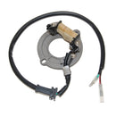 Electrosport - Stator (ESC1631)