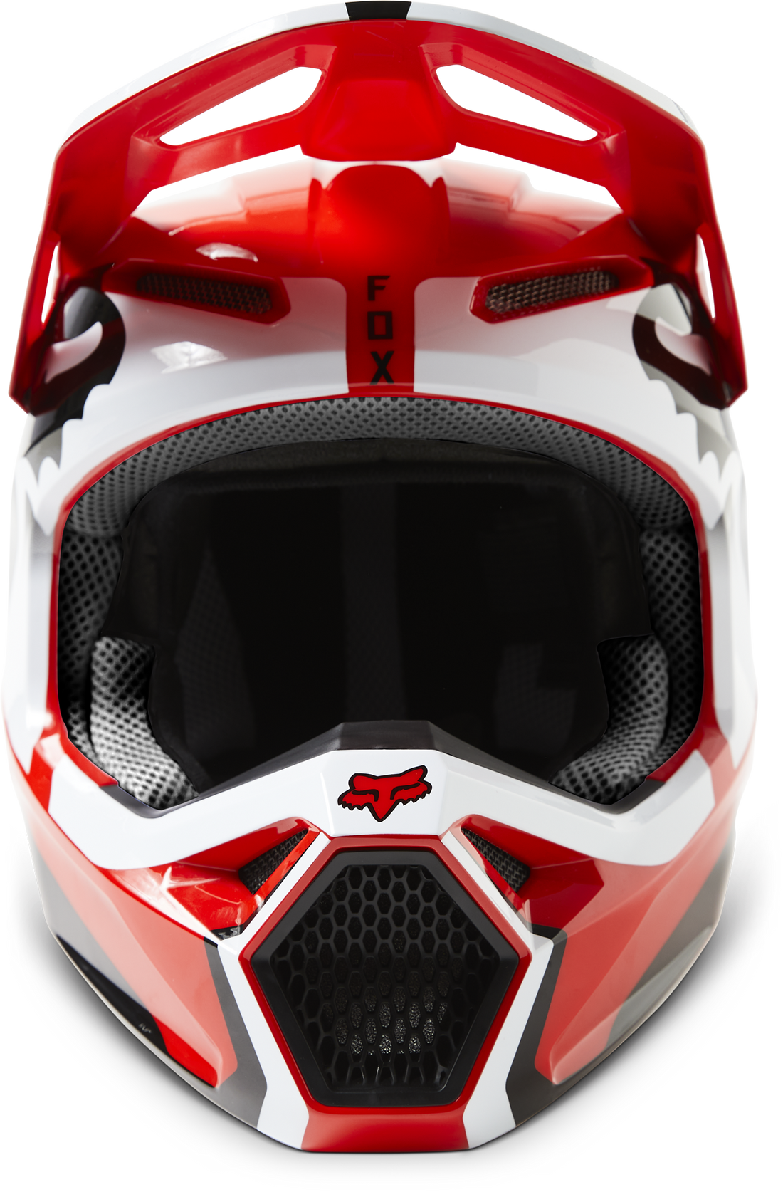 ls2 doggie dog helmet FF352 ROOKIE FOO BLUE Our custom Casco Integral Casco Ls2 Doggie