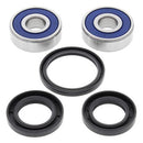 All Balls Racing - Wheel Bearing & Seal Kit (25-1319)