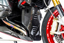 Ilmberger - Bellypan Central Part for R 1200 R/RS LC