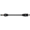 All Balls Racing - 6 Ball Heavy Duty Axle (AB6-CA-8-336)