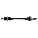 All Balls Racing - 6 Ball Heavy Duty Axle (AB6-CLC-8-306)