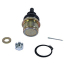 All Balls Racing - Ball Joint (42-1062)