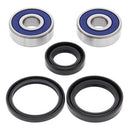 All Balls Racing - Wheel Bearing & Seal Kit (25-1307)