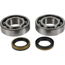 All Balls Racing - Crankshaft Seal Kit (24-1122)
