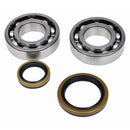 All Balls Racing - Crankshaft Seal Kit (24-1129)