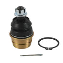All Balls Racing - Ball Joint (42-1064)