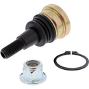 All Balls Racing - Ball Joint (42-1065)