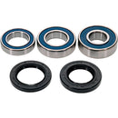 All Balls Racing - Wheel Bearing & Seal Kit (25-1823)