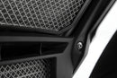 Refined, reliable protection of the vulnerable radiator network for the radiator
