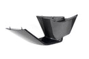 Ilmberger - Faring Side Winglet for M 1000 RR M 1000 RR (2021-)