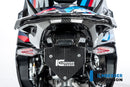 Ilmberger - Frame Protector for M 1000 RR