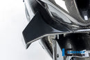 Ilmberger - Faring Side Winglet for M 1000 RR M 1000 RR