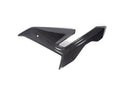 Ilmberger - Side Fairing for M 1000 R